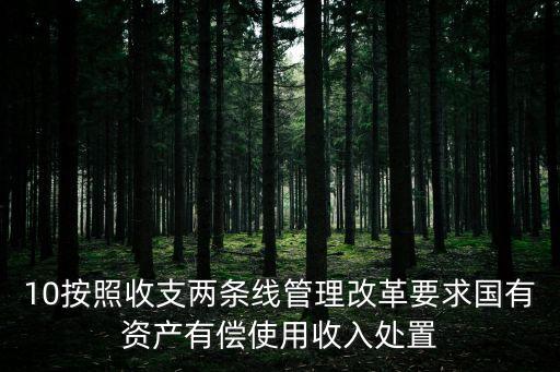 10按照收支兩條線管理改革要求國有資產有償使用收入處置