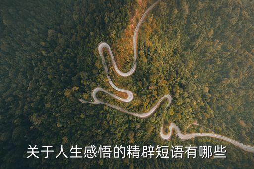 關于人生感悟的精辟短語有哪些