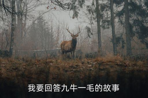 我要回答九牛一毛的故事