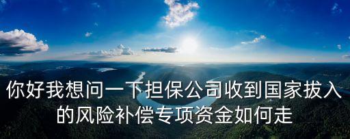 你好我想問一下?lián)９臼盏絿野稳氲娘L(fēng)險(xiǎn)補(bǔ)償專項(xiàng)資金如何走