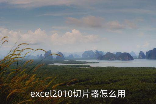 excel切片器，excel表格的切片器傳統的是象圖一樣式的選擇時候不方便圖片二