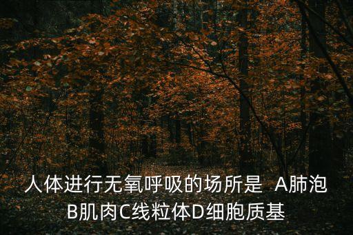 人體進行無氧呼吸的場所是  A肺泡B肌肉C線粒體D細胞質基