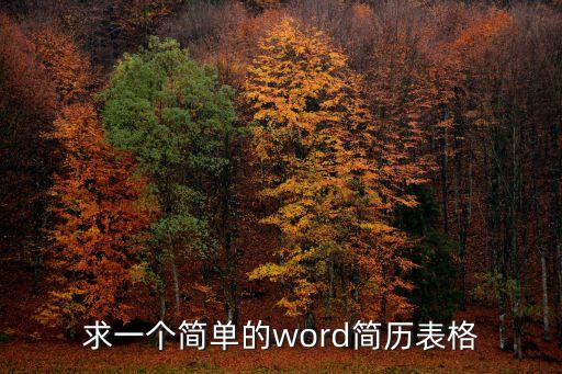 求一個簡單的word簡歷表格