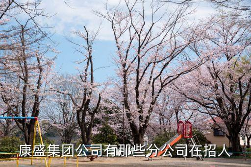 康盛集團公司有那些分公司在招人