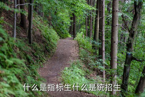 什么是指標生什么是統招生