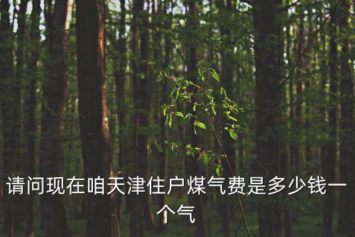 天津市新樓房通然氣收費(fèi)嗎，請(qǐng)問(wèn)現(xiàn)在咱天津住戶煤氣費(fèi)是多少錢一個(gè)氣