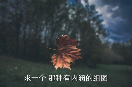 求一個 那種有內涵的組圖