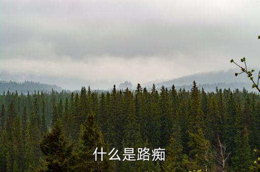 什么是路癡