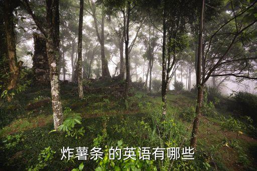 炸薯條 的英語有哪些