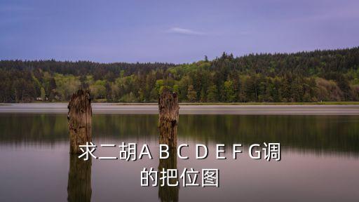 二胡g調把位圖，求二胡A B C D E F G調的把位圖
