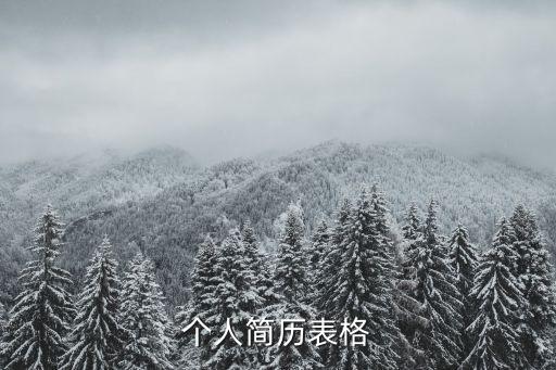 個人簡歷表格