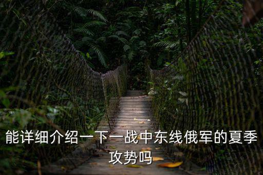 布魯西洛夫攻勢，武力殲滅戰是攻勢防御作戰的基本方式之一