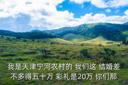 天津市寧河區(qū)彩禮，2016天津彩禮多錢