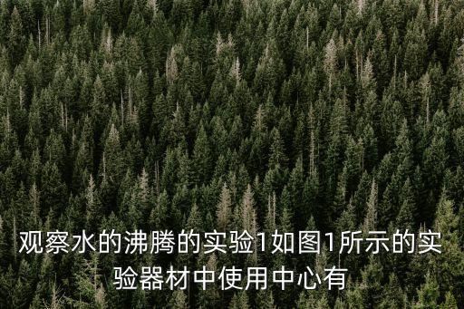 水沸騰實(shí)驗(yàn)，探究水在沸騰時(shí)有什么特征 實(shí)驗(yàn)步驟