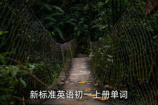 新標準英語初一上冊單詞
