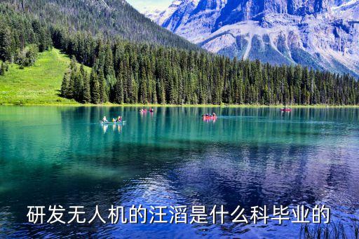 大疆汪滔，汪峰求婚用的無人機是什么型號的