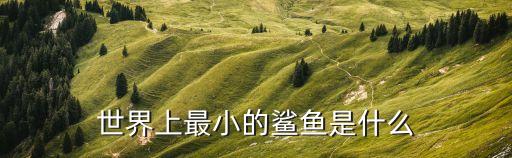 世界上最小的鯊魚是什么