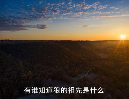 有誰知道狼的祖先是什么