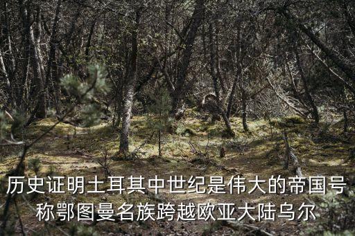 鄂圖曼帝國，十九世紀哪國被稱為歐洲病夫