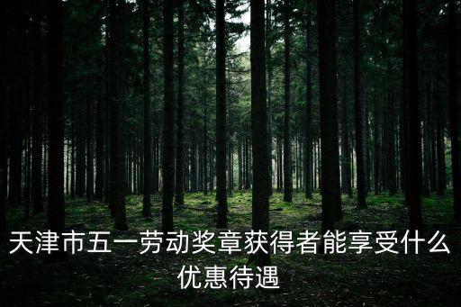 天津市曲藝界五一獎章獲得者，天津市五一勞動獎章是哪一級的先進