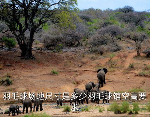 羽毛球場地尺寸，羽毛球場有多長多寬