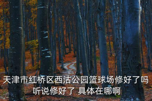 天津市籃球場小區(qū)里紅橋，天津南開區(qū)紅橋區(qū)有沒有夜間籃球場