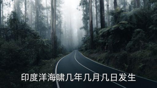 印度洋海嘯，印度洋海嘯的問(wèn)題