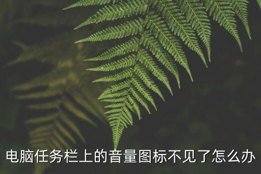 電腦音量圖標(biāo)不見了怎么辦，電腦上的音量小喇叭圖標(biāo)消失了怎么辦