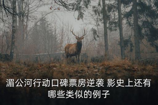 湄公河行動(dòng)口碑票房逆襲 影史上還有哪些類似的例子