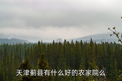 天津薊縣有什么好的農家院么