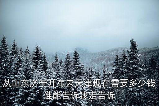 臨清市到天津市自駕來回多少錢，臨清到天津開車需要多少過路費