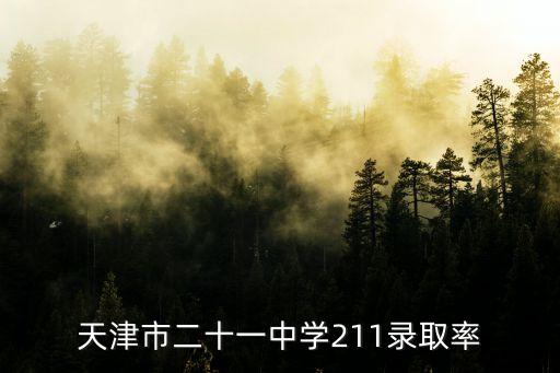天津市211升學率，中國北京或天津的隸屬于211985工程的大學有近3年來2008