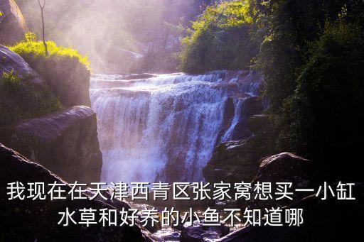 我現在在天津西青區張家窩想買一小缸水草和好養的小魚不知道哪