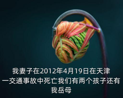 我妻子在2012年4月19日在天津一交通事故中死亡我們有兩個孩子還有我岳母