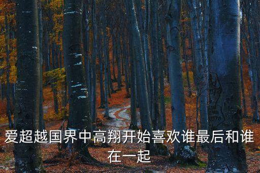 愛超越國界中高翔開始喜歡誰最后和誰在一起