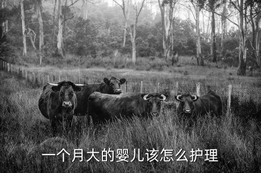 一個月大的嬰兒該怎么護理