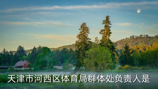天津市河西區體育局群體處負責人是