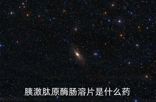 胰激肽原酶腸溶片，胰激肽原酶腸溶片
