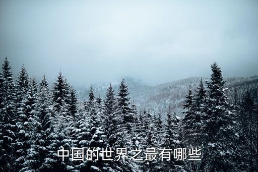 中國(guó)的世界之最有哪些