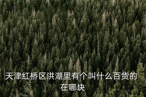 天津紅橋區洪湖里有個叫什么百貨的 在哪塊