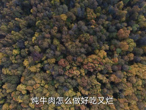 燉牛肉，燉牛肉的方法是什么