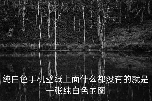 純白色手機壁紙上面什么都沒有的就是一張純白色的圖
