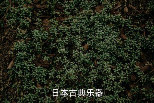 日本古典樂器