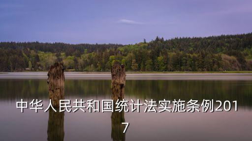 中華人民共和國統(tǒng)計法實施條例2017