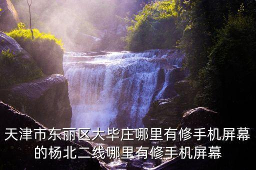 天津市東麗區大畢莊哪里有修手機屏幕的楊北二線哪里有修手機屏幕