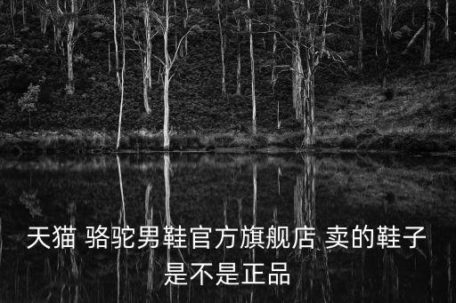 天貓商城男鞋，請問天貓商城休閑男鞋那個牌子好看