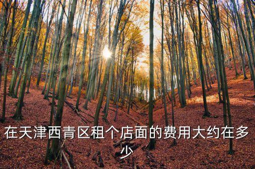 天津市西青美甲店鋪招租，天津西青區中北鎮西青區楊柳青柳麗路2號豐田