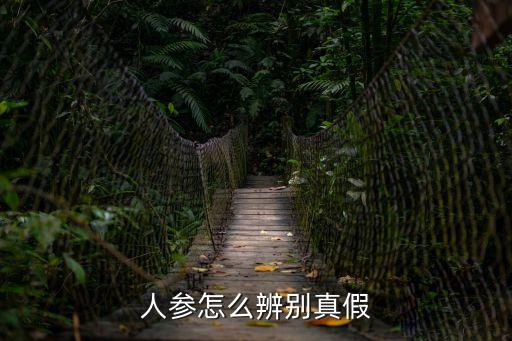 人參怎么辨別真假