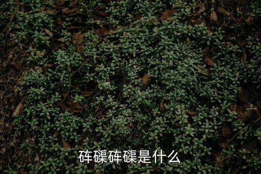 硨磲硨磲是什么