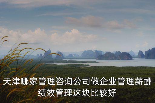 天津哪家管理咨詢公司做企業管理薪酬績效管理這塊比較好